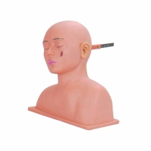 DARHMMY Advanced Ear Diagnostic Models for Clinical Examination