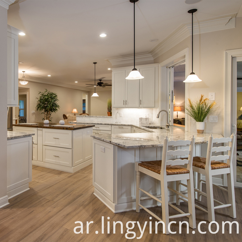 الصين أعلى مستوى مطبخ مجلس الوزراء شاكر مع الجزيرة المصنعين