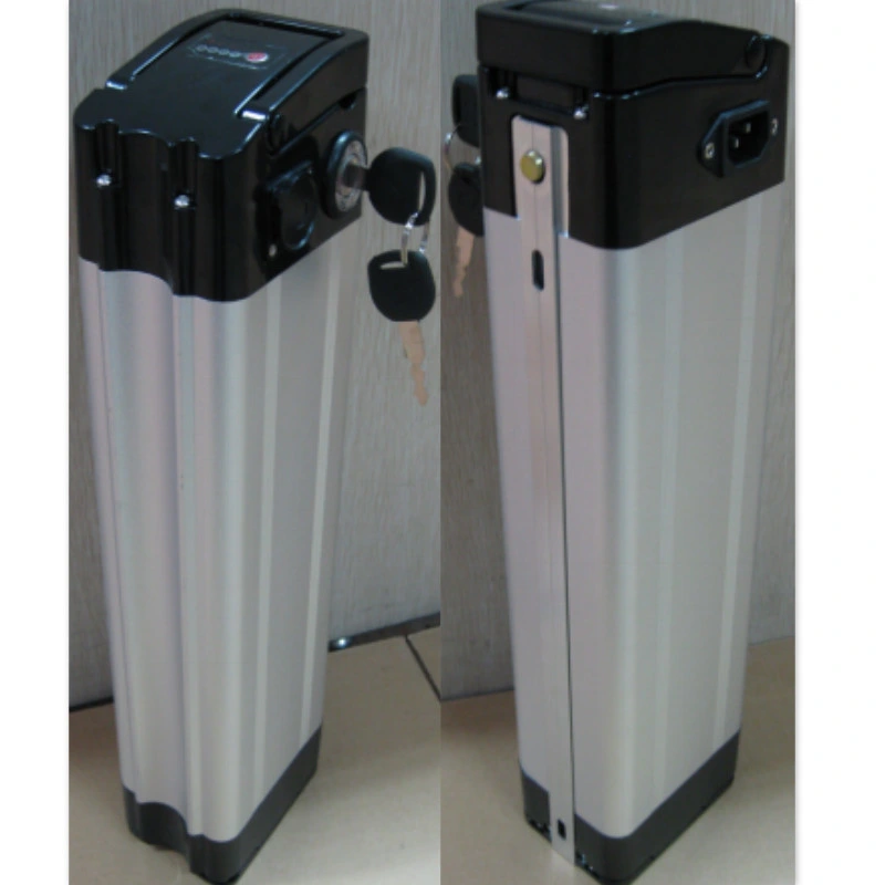 Professional 24V 36V 48V 10ah/20ah/30ah Ebike Battery-Hailong Lithium Battery Pack