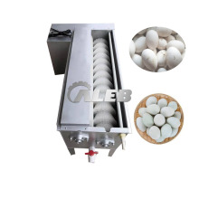 Professional Egg Wash Spray Machine for Efficient Egg Cleaning