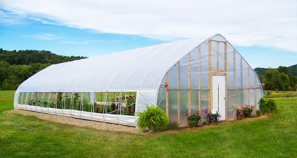 Gothic Single Span Greenhouse for Vegetables Flowers