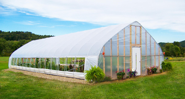 Tunnel Greenhouse