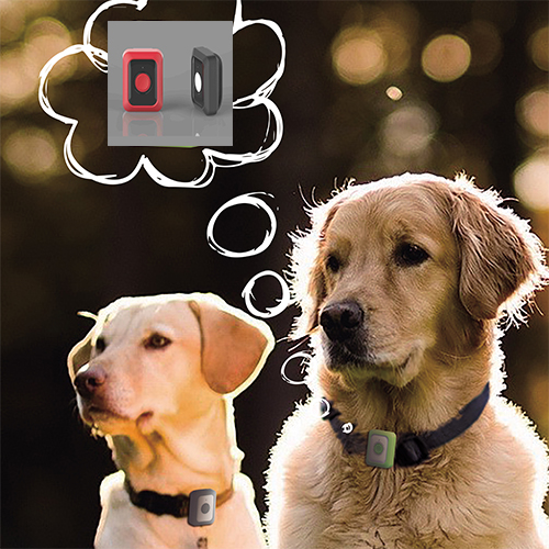 GPS + WIFI + LBS Collier Smart Pet GPS