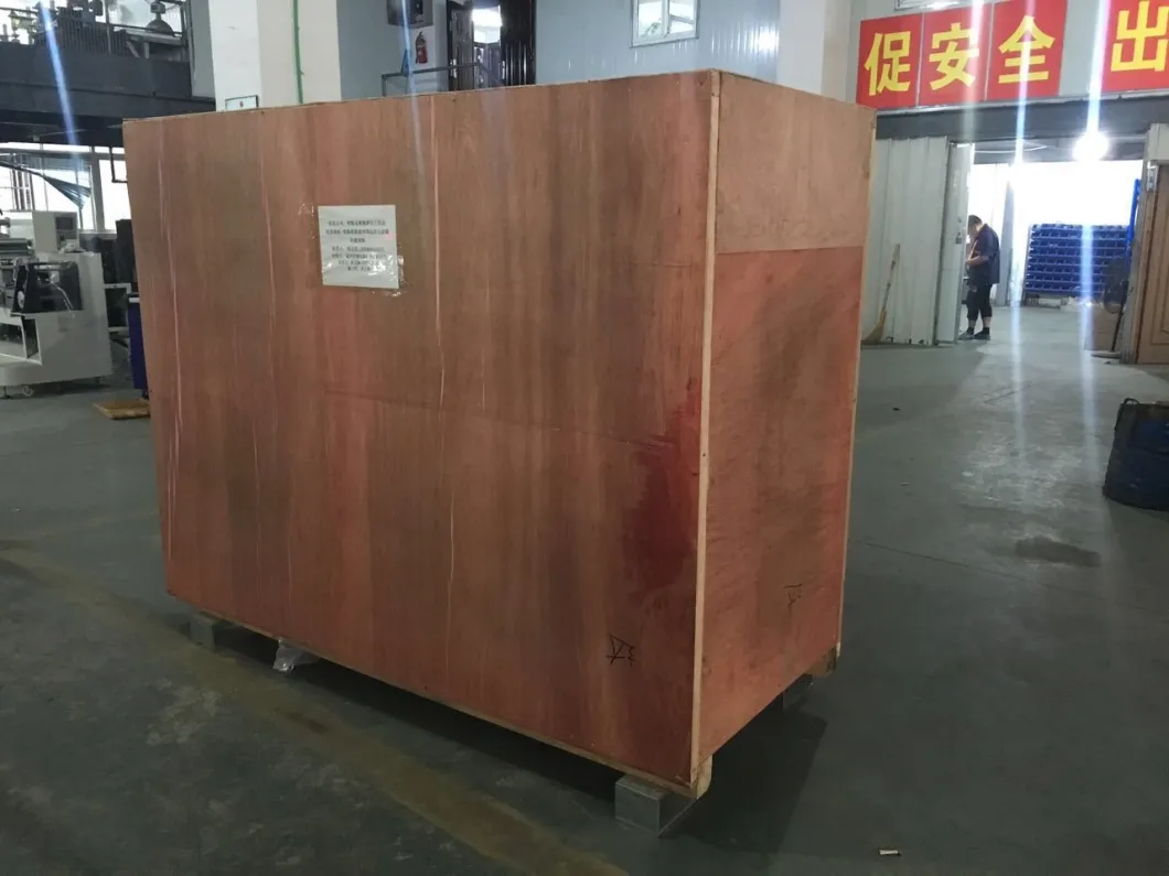 Multi-Function Plastic Packet Flow Wrapping Machine