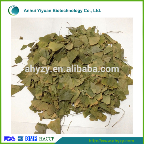 Dried Ginkgo Biloba Leaf (Yin xing ye)