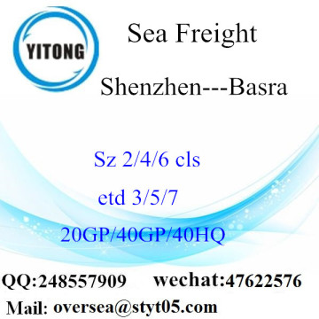 Shenzhen Port Sea Freight Shipping Para Basra