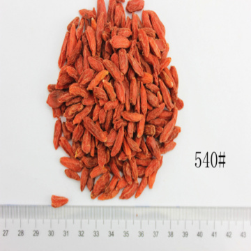 Certified Size 540 Organic Dried Goji