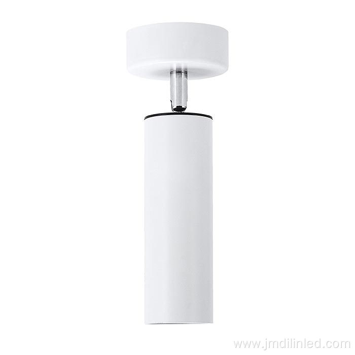 Adjustable Angle Aluminium White Body Down Light