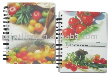Transparent PP Cover Spiral Notebook