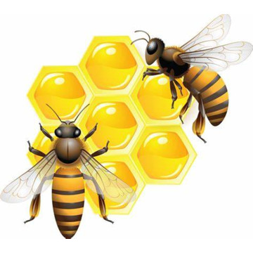 Aceite aromatizante de alimentos de miel de larga duración