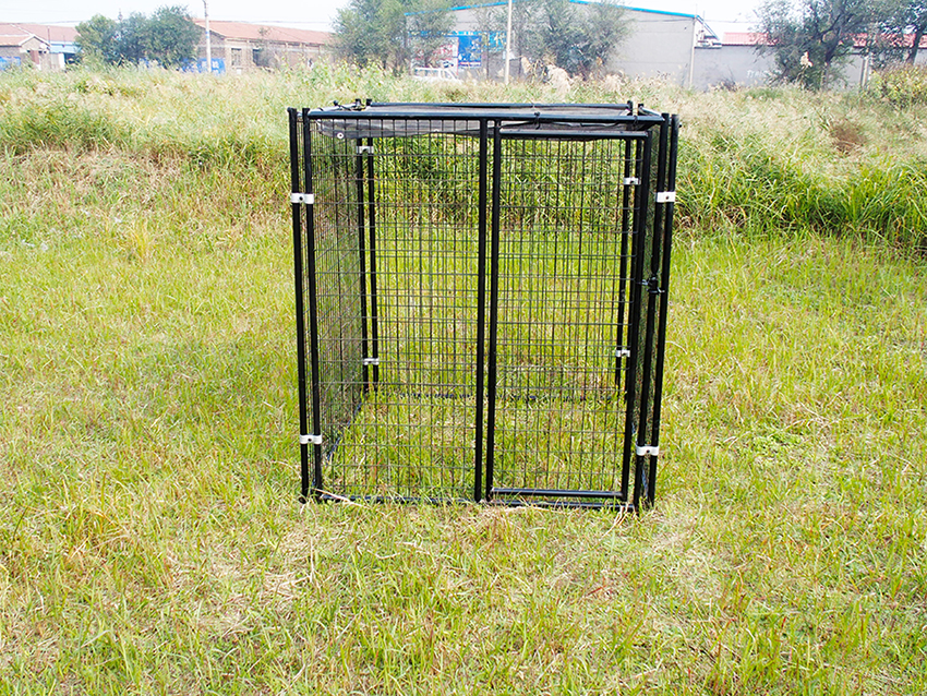 grandes perreras al aire libre big outdoor dog kennels