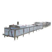Tomato Juice Pasteurization Equipment: Water Bath Machines and Sauce Pasteurization Tunnel Lines