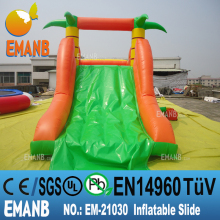 1398 USD inflatable dolphin water slide, inflatable water slide, giant inflatable water slide for adult