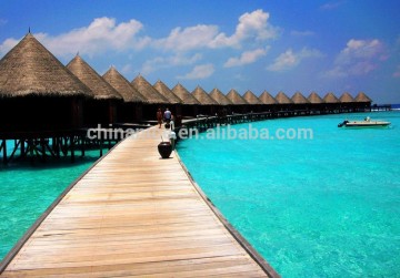 palm leaf thatch beach umbrella