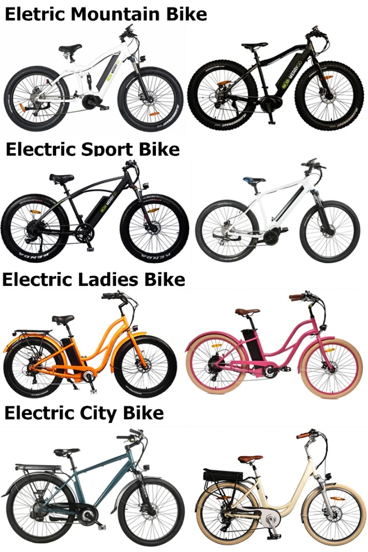 250W E Road Electric Bike/ Wholesale Electric Bicycle Parts