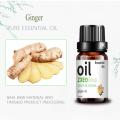 10ml Ginger Essential Oil 100% Natural ginger oil cosmetic