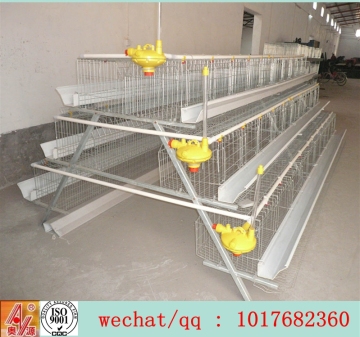 Chicken Breeding Cages for Laying Hens/A type wire chicken cage