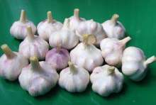 Mesh Bag Packing Garlic Normal White