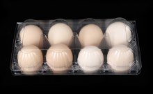 6 Holes Egg Box Blister Plastic Egg Tray