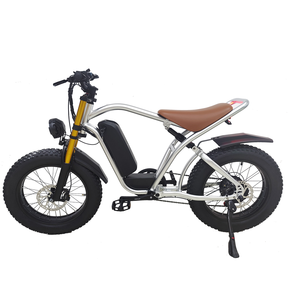 Fabrika 250W 1000W 20inch Yağ Lastik Elektrikli Bisiklet 750W Lityum İyon Pil Gücü Fatbike Elektrikli Adam Ebike Kadın E Bisiklet