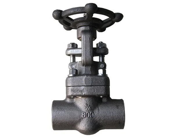 Forged Steel Gate Valve 800psi Png