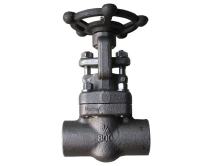 Forged Steel Gate Valve