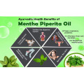 نفت نعناع اسانس Mentha Piperita با کیفیت بالا