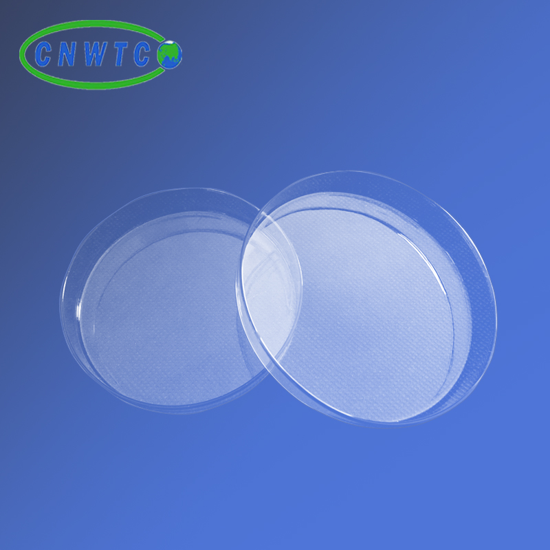 glass petri dish