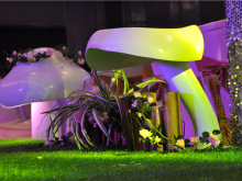 Magic Fairy Tale Wedding Theme Props