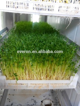 500KGS Barley/wheat Breeding Machine