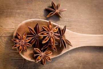 Star Anise Essential Oil 10ml