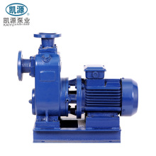 BZ Self Suction water pump