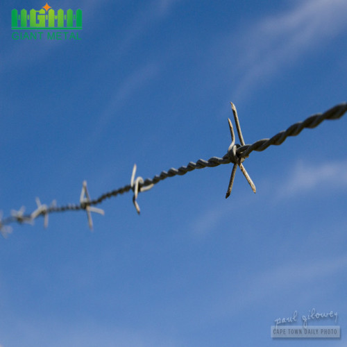 ตัวอย่างฟรี DoubleTwisted PVC Barbed Wire