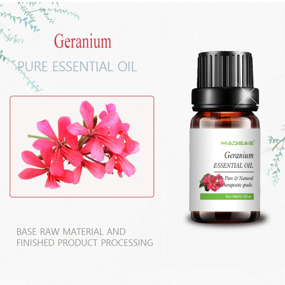 Minyak esensial geranium yang larut dalam air untuk aroma perawatan tubuh