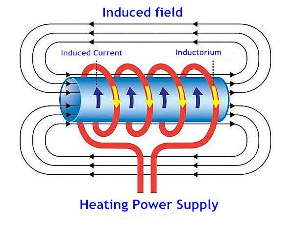 Pepper Processing Machine