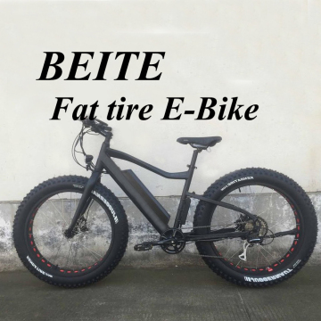 Popular used fat tire electric cycle, electric power cycle