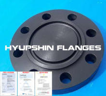 RTJ flange Ring Type Joint Flange Blind SW