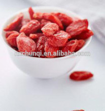 Dried Goji berry, Gojiberry, Wolfberry, Wolf berry, Lycium barbarum, Fructus lycii