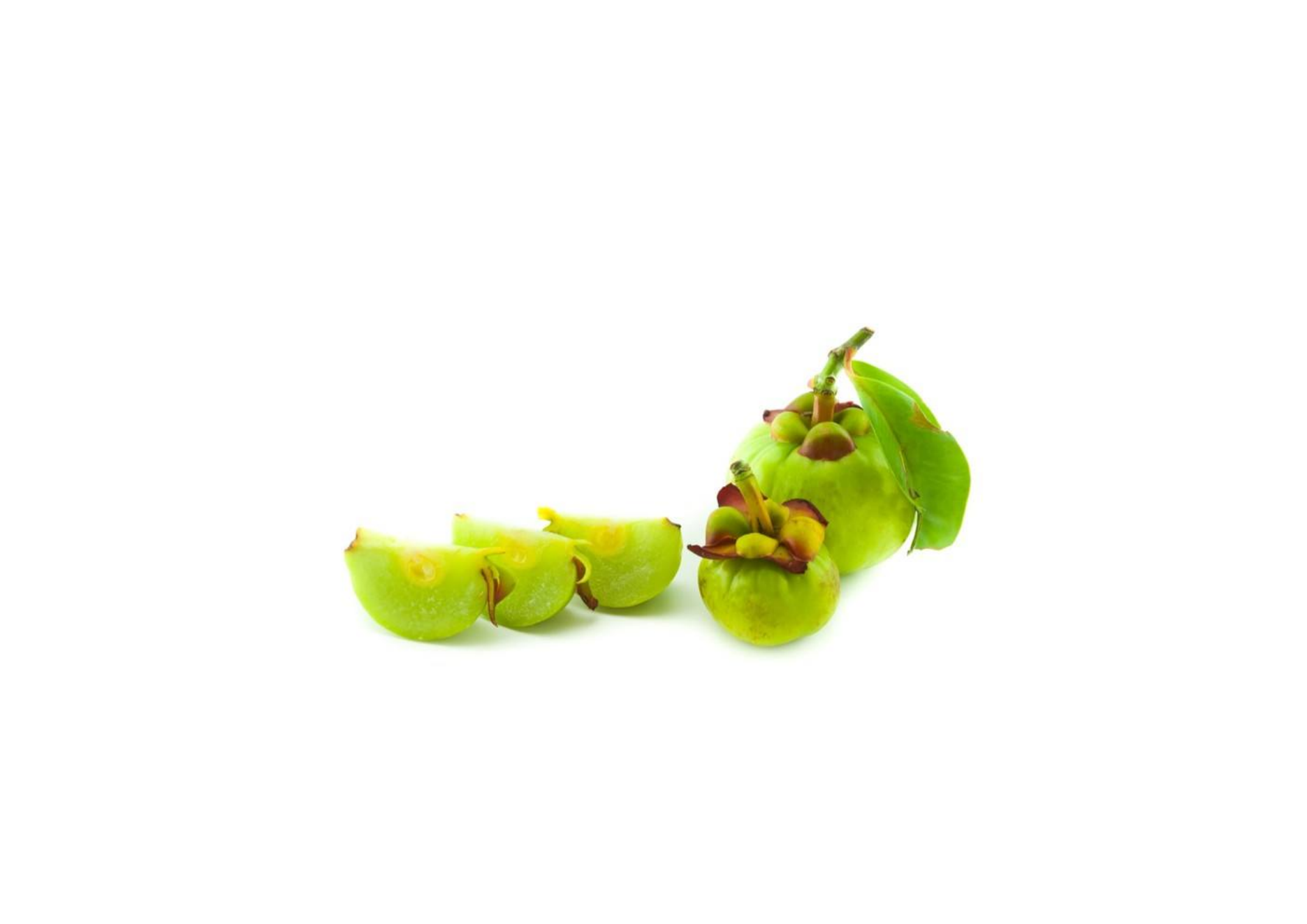 Garcinia cambogia extract