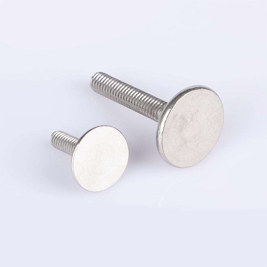 Большая головка плоская головка болт (3) Large head flat head carriage bolt (3)