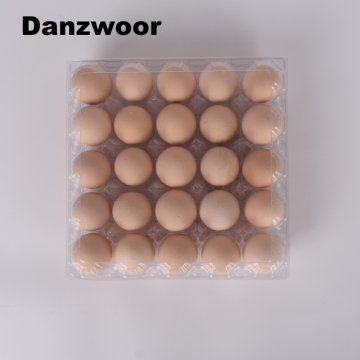 PET Plastic Egg Cartons - 25pcs and 1000pcs Food Packaging Containers