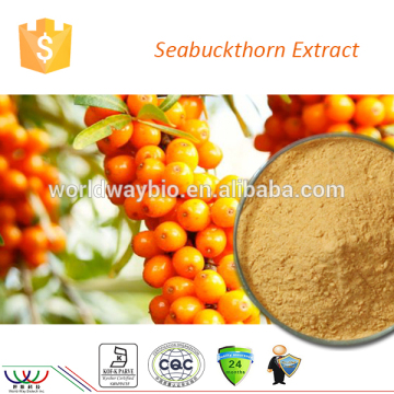 FDA HACCP cGMP Kosher factory supply plant Flavone seabuckthorn fruit extract seabuckthorn extract