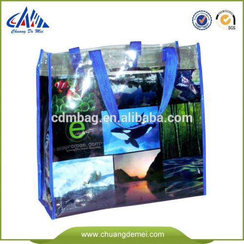 modern fashion full color transparent beach bag