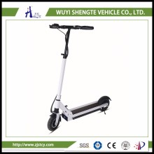 China manufacturer factory direct sale 2 wheels snow bike snow scooter
