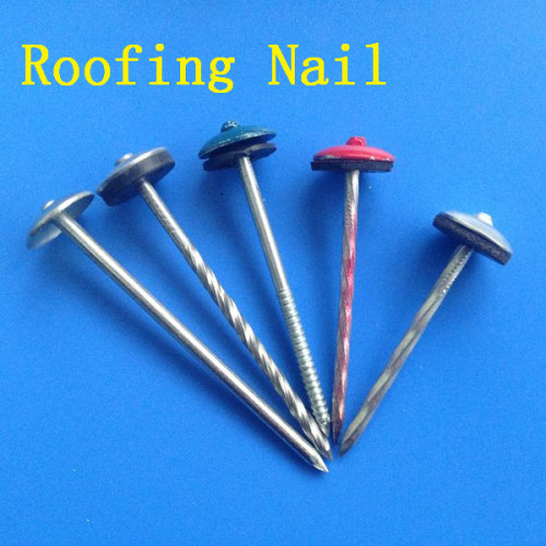 Colorful Roofing Nail with Umbrella Head