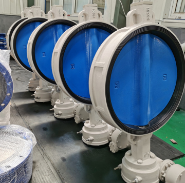 Concentric Flanged Butterfly Valve parts about control