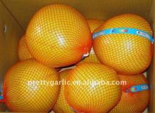 Honey pomelo Zhangzhou origin