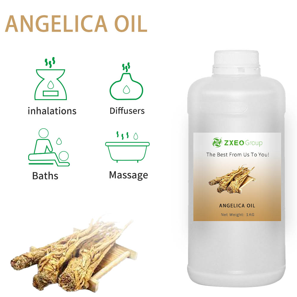 Pure Nature Angelica Oil Steam Distillation For Smoothing Massage