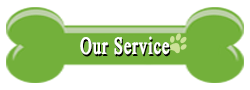 Our-Service