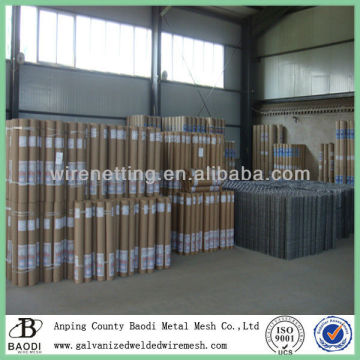 Roll welded iron wire mesh 50x50